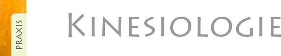 Kinesiologie Behr Logo